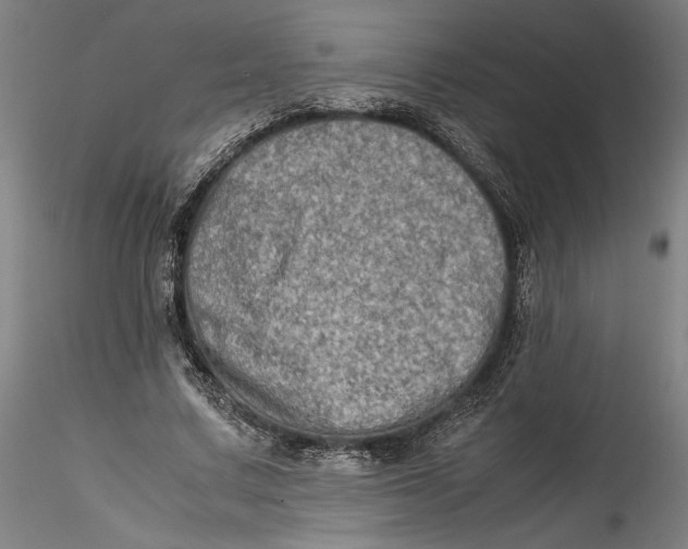 X0000115540683200911271411