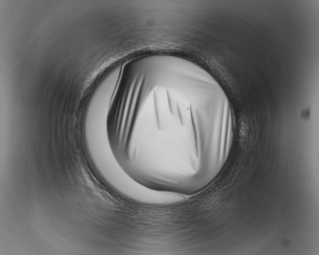 X0000115540684200911271411