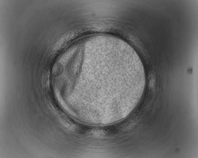 X0000115540685200911271411