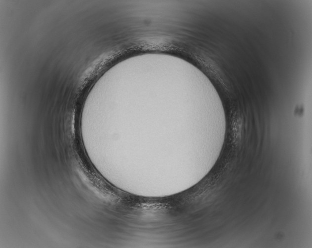 X0000115540686200911271411