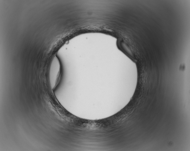 X0000115540688200911271411