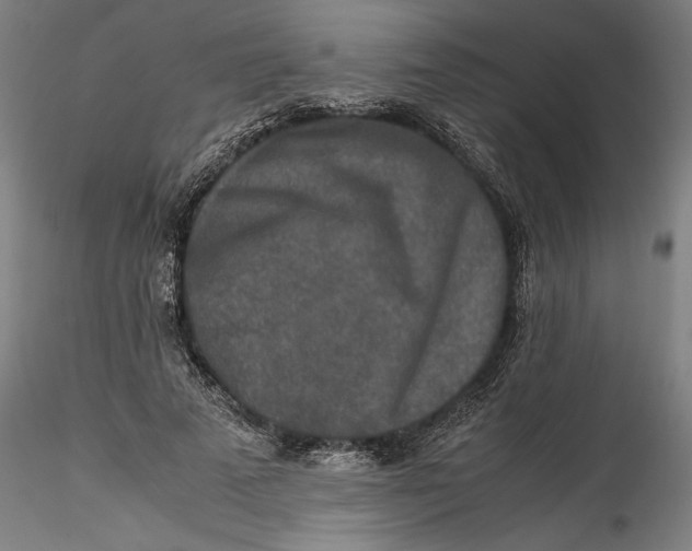 X0000115540689200911271411