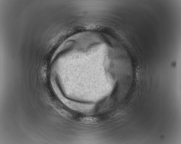 X0000115540691200911271411