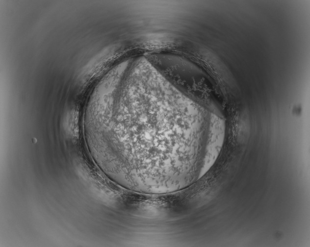 X0000115540696200911271411