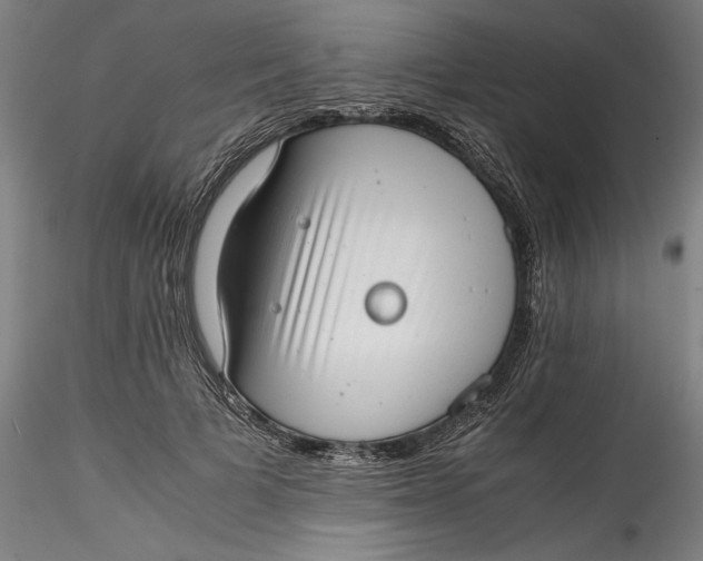 X0000115540697200911271411