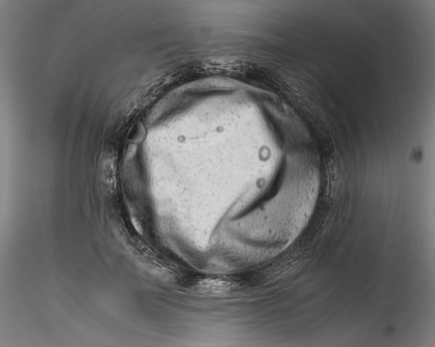 X0000115540699200911271411