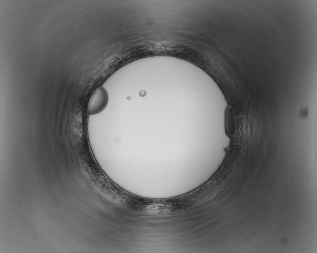 X0000115540700200911271411