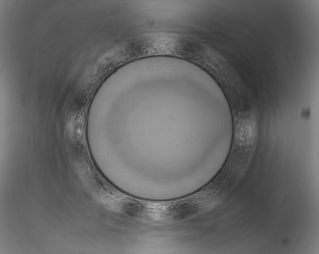 X0000115540701200911271411