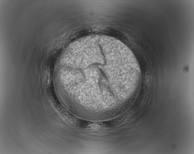 X0000115540703200911271411