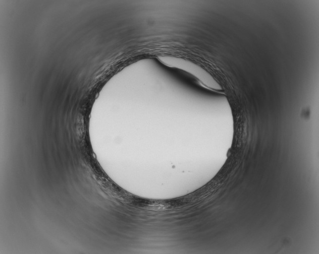 X0000115540704200911271411