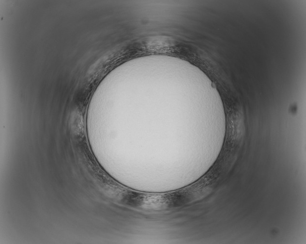 X0000115540705200911271410