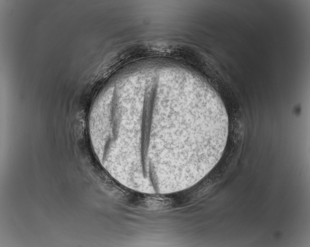 X0000115540707200911271410