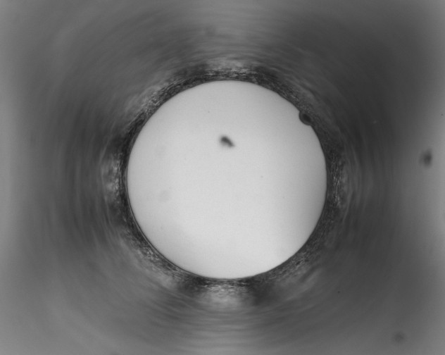 X0000115540708200911271410