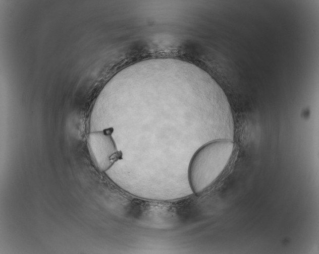 X0000115540709200911271410