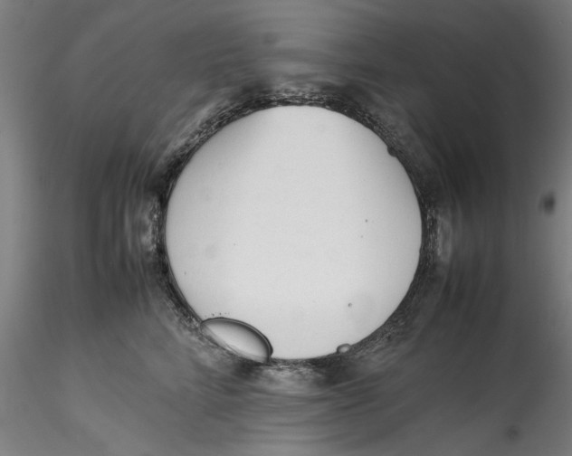 X0000115540712200911271410