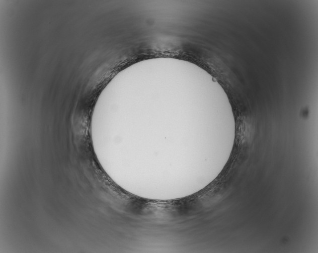 X0000115540713200911271410