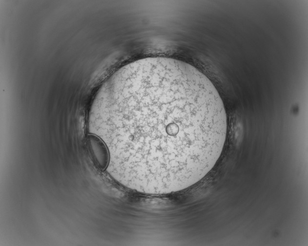 X0000115540716200911271410