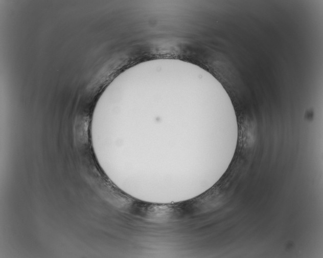 X0000115540717200911271410