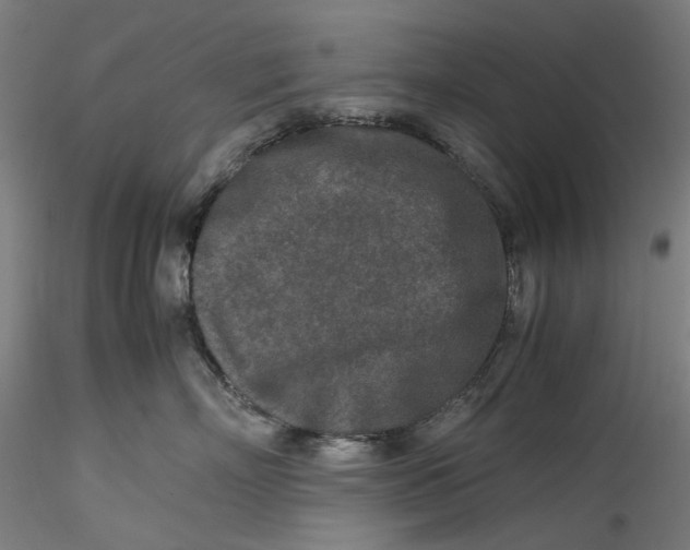 X0000115540718200911271410