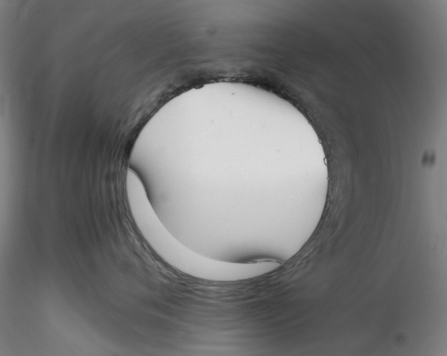 X0000115540720200911271410