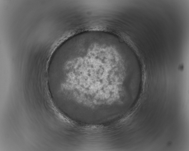 X0000115540721200911271410