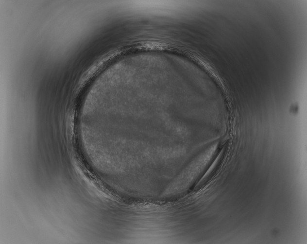 X0000115540722200911271410