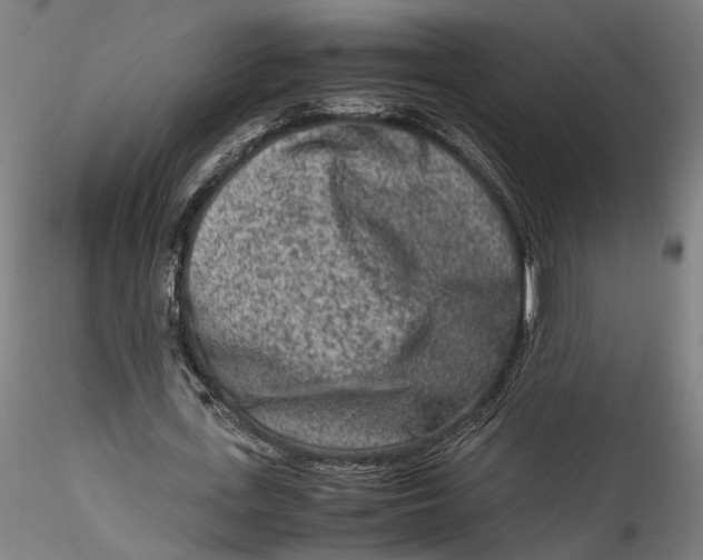 X0000115540723200911271410