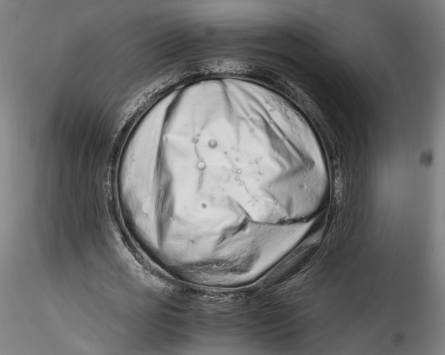 X0000115540725200911271410