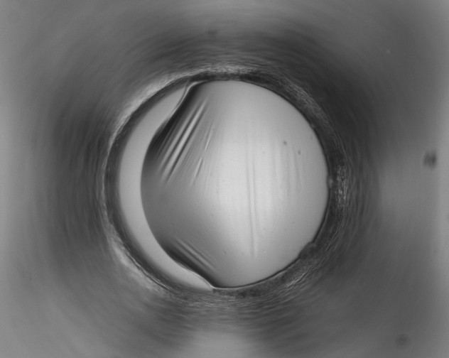 X0000115540726200911271410