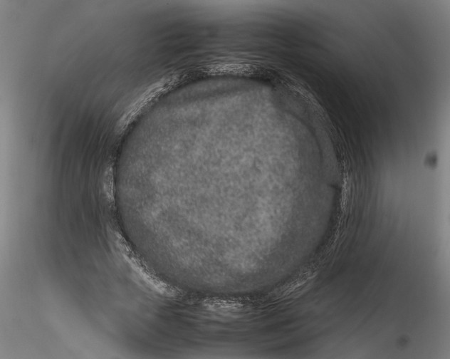 X0000115540729200911271410