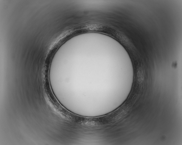 X0000115540730200911271410