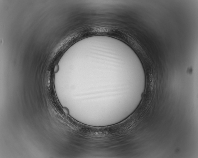 X0000115540731200911271410