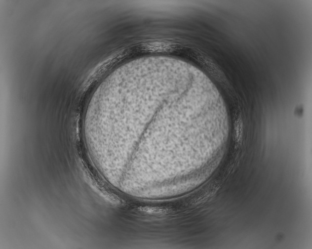 X0000115540733200911271410