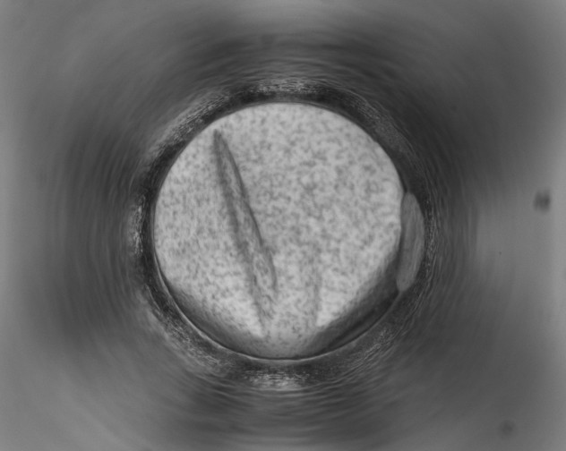 X0000115540735200911271410