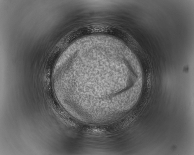 X0000115540737200911271410