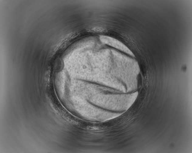 X0000115540739200911271410