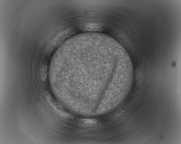 X0000115540741200911271410