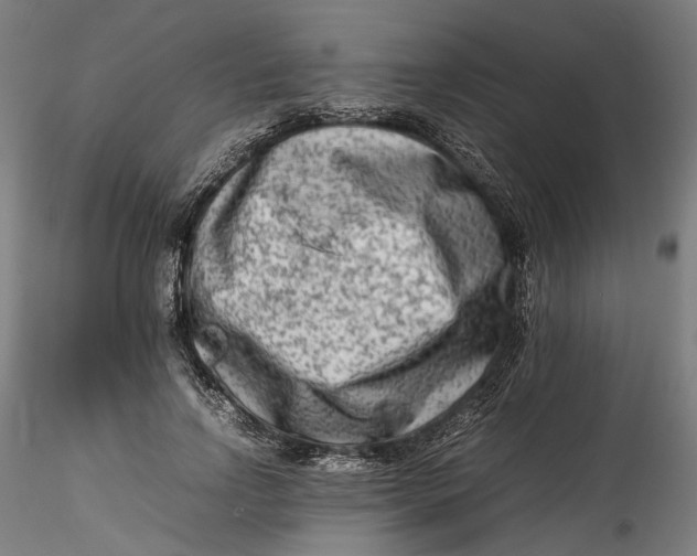 X0000115540742200911271410