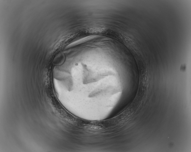 X0000115540743200911271410