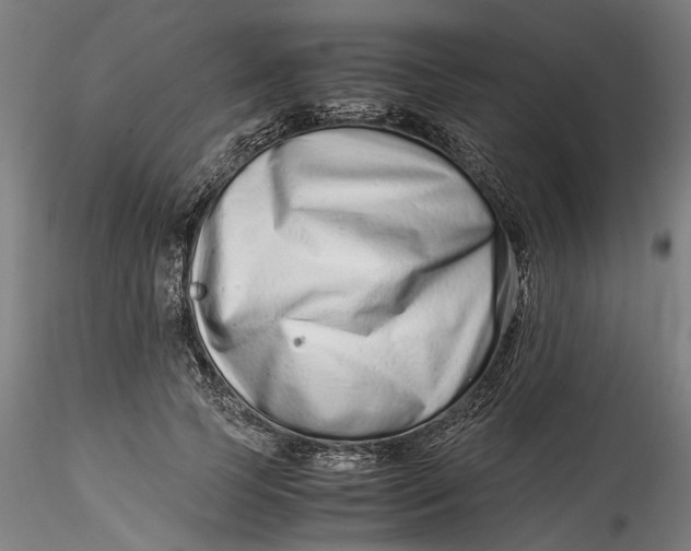 X0000115540745200911271410