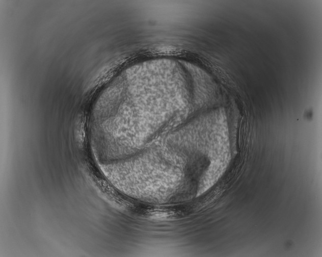 X0000115540746200911271410