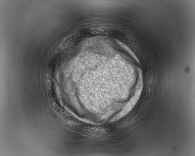 X0000115540749200911271410