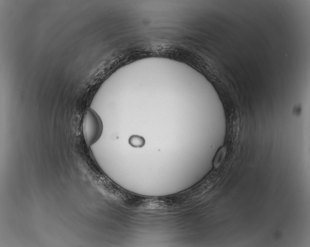 X0000115540750200911271410