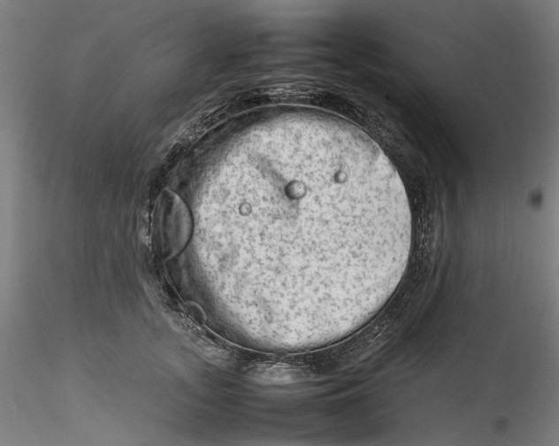 X0000115540755200911271410