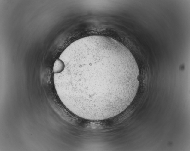 X0000115540758200911271410