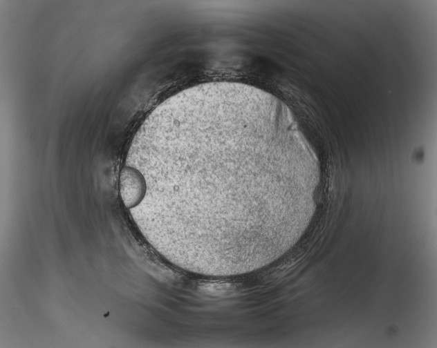 X0000115540759200911271410