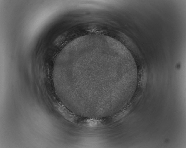 X0000115540762200911271410