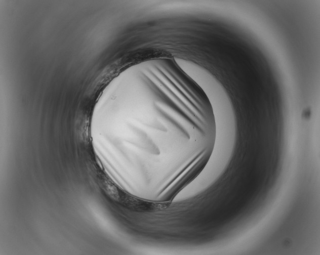 X0000115540766200911271410