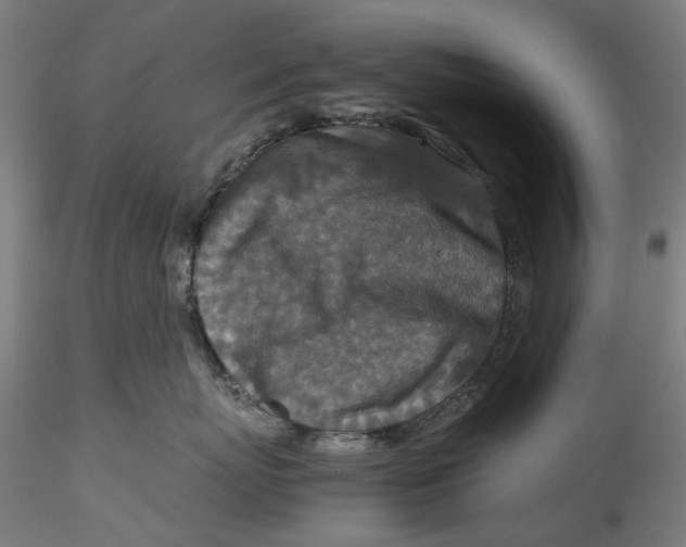 X0000115540767200911271410