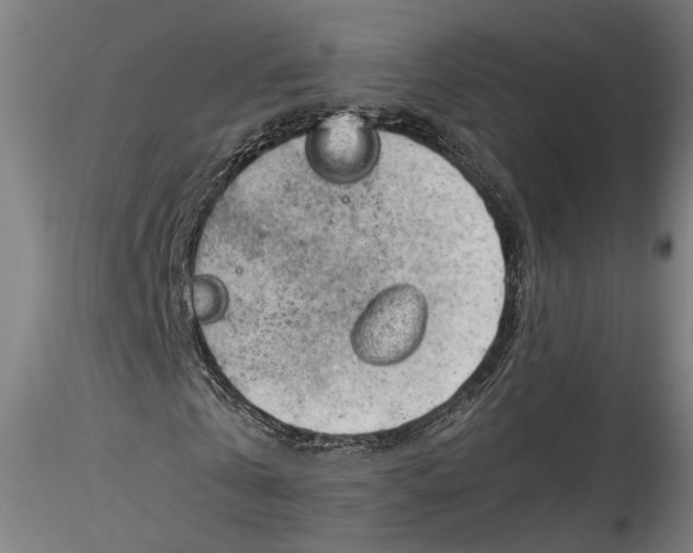 X0000115540769200911271410